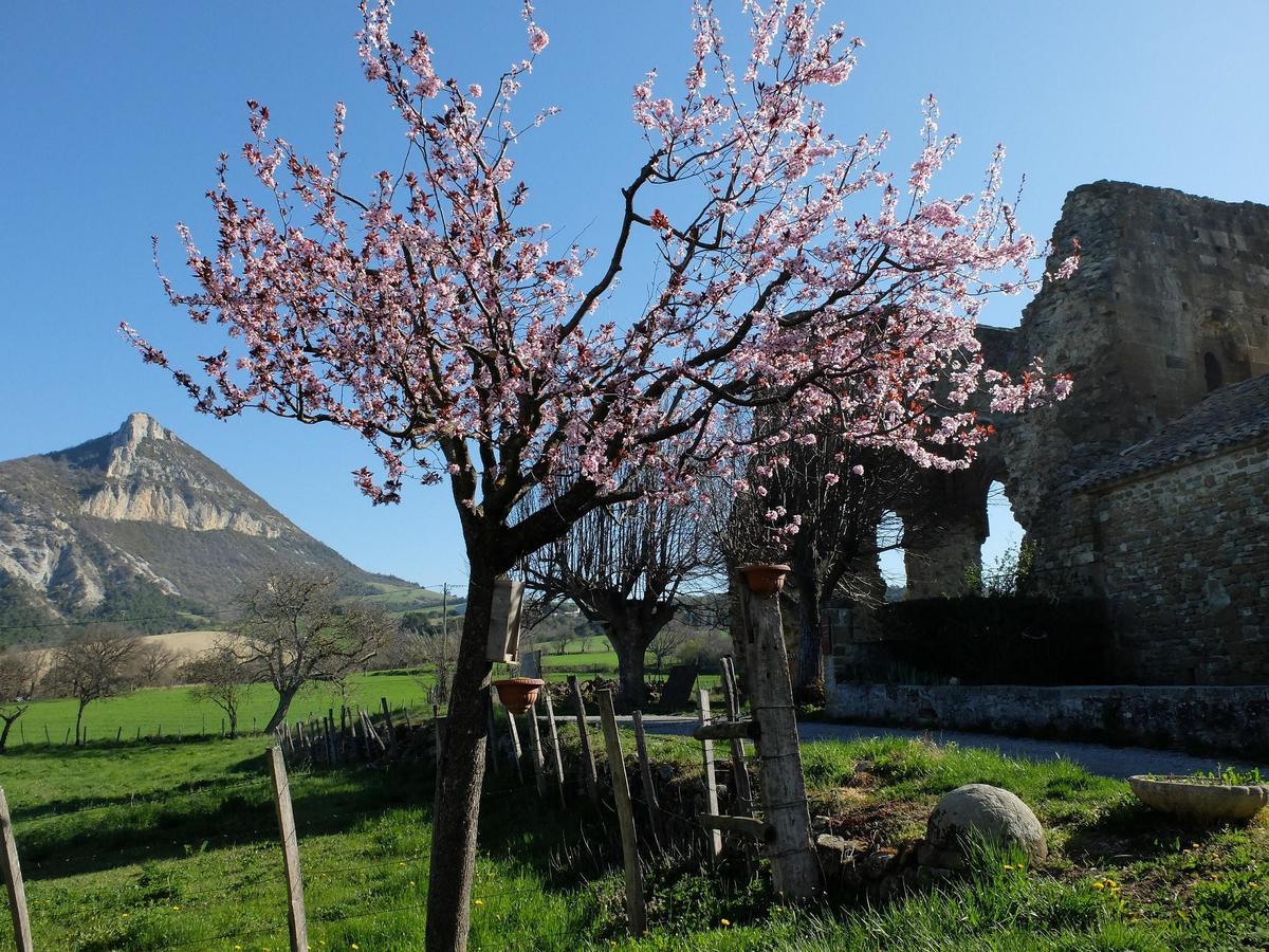 Auberge Du Prieure Saint-André-de-Rosans Exteriör bild